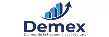 DEMEX SAS